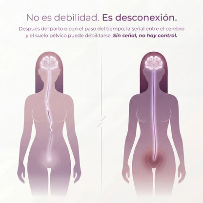 Pelvium Sistema EMS de Reconexión™