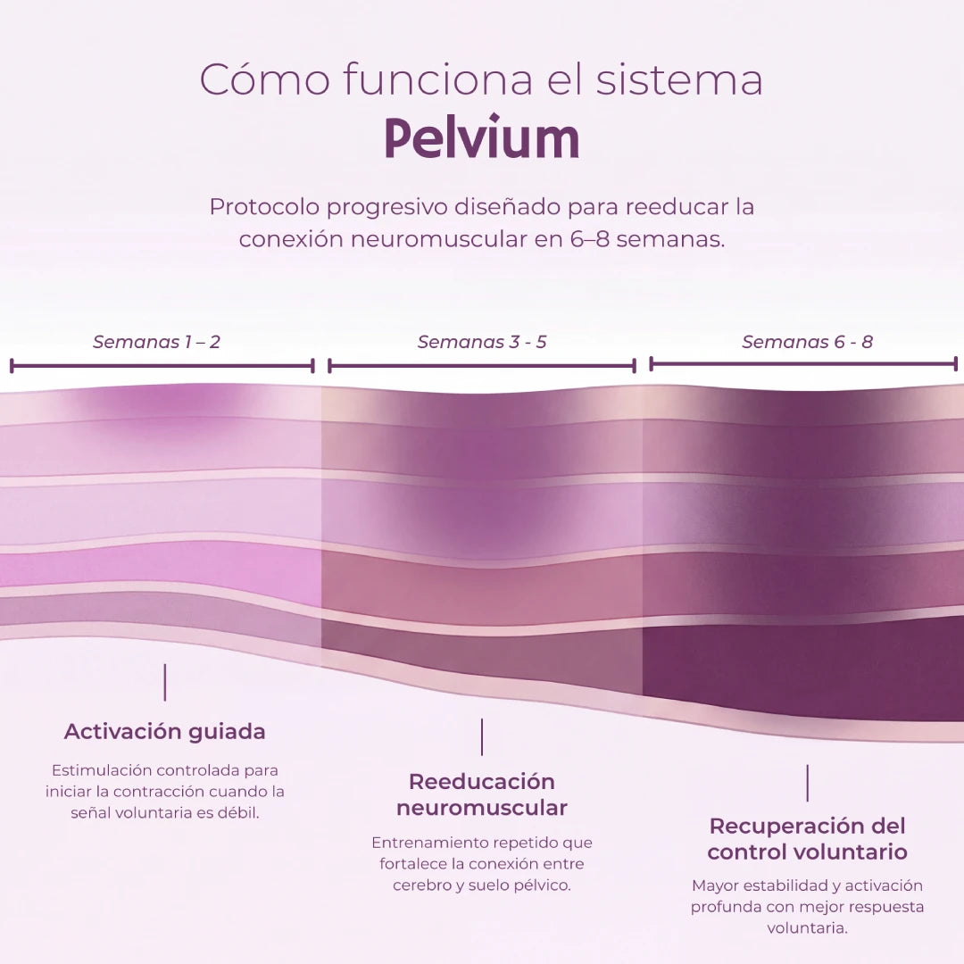 Pelvium Sistema EMS de Reconexión™