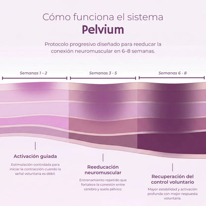 Pelvium Sistema EMS de Reconexión™
