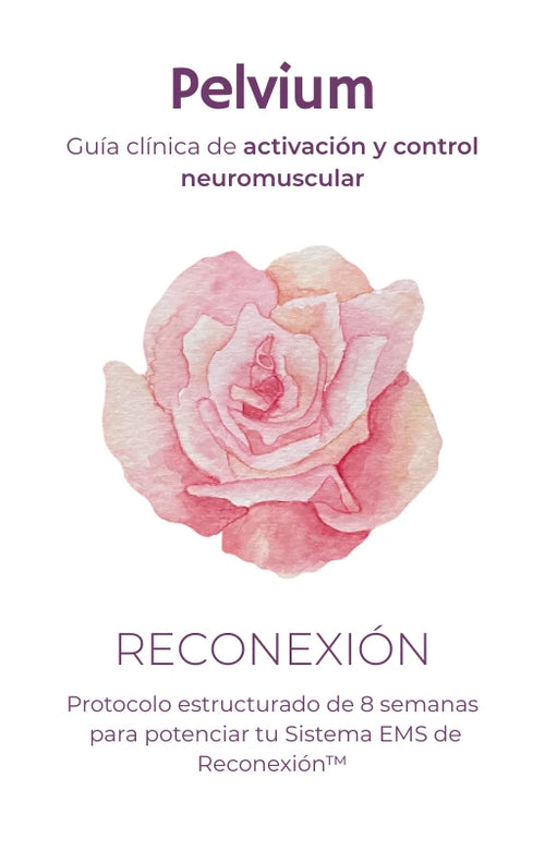 Ebook - Protocolo Reconexión™