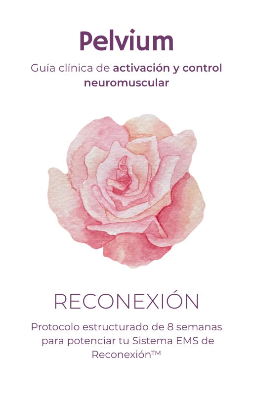 Ebook - Protocolo Reconexión™